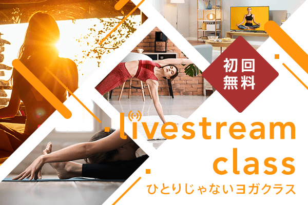ヨギー LIVESTREAM